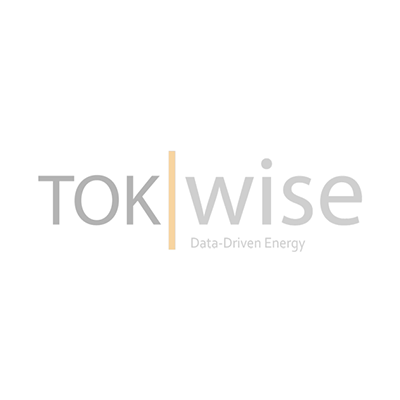 TokWise logo